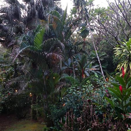 Dos Casitas Villa Ojochal Eksteriør bilde