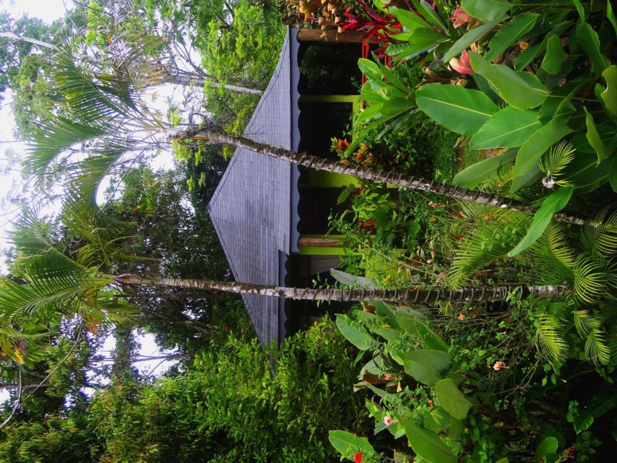 Dos Casitas Villa Ojochal Eksteriør bilde
