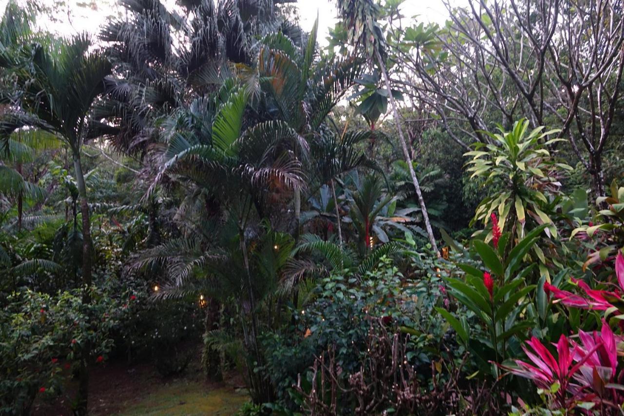 Dos Casitas Villa Ojochal Eksteriør bilde