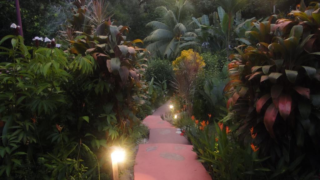 Dos Casitas Villa Ojochal Eksteriør bilde
